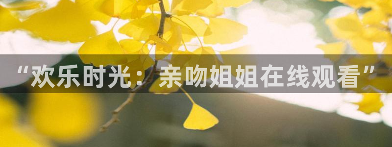 58动漫h：“欢乐时光：亲吻姐姐在线观看”