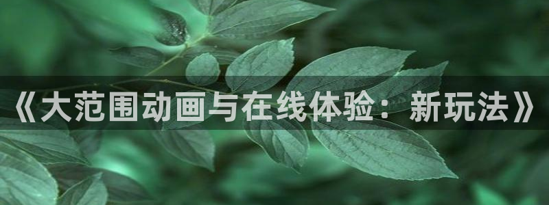 58动漫网.：《大范围动画与在线体验：新玩法》